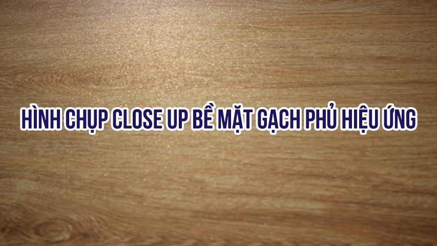 GẠCH HIỆU ỨNG HẠT ĐƯỜNG- PHONG CÁCH MỚI, ĐẶC TÍNH MỚI