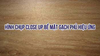 GẠCH HIỆU ỨNG HẠT ĐƯỜNG- PHONG CÁCH MỚI, ĐẶC TÍNH MỚI