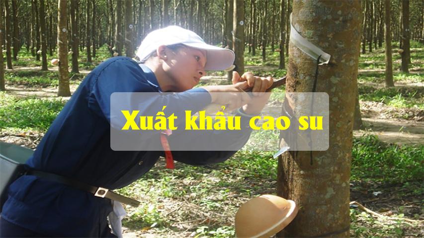 XUẤT KHẨU CAO SU TĂNG KHÁ TRONG QUÝ I