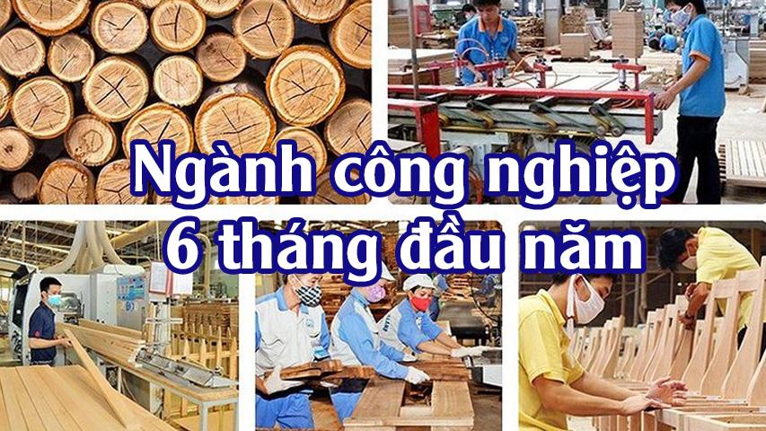 TÌNH HÌNH SẢN XUẤT CÔNG NGHIỆP 6 THÁNG ĐẦU NĂM 2019