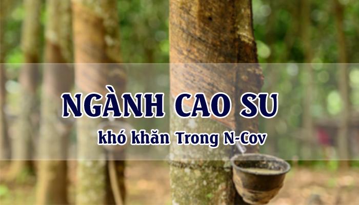 NHU CẦU CAO SU TRUNG QUỐC GIẢM SÚT DO VIRUS CORONA