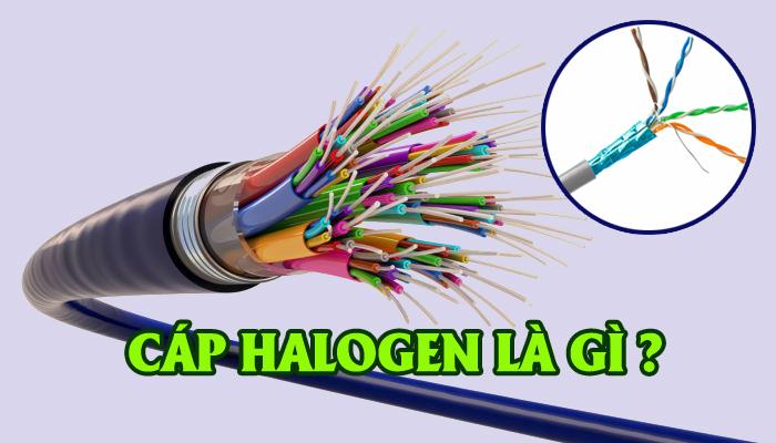 CÁP HALOGEN LÀ GÌ? TẠI SAO NÊN SỬ DỤNG CÁP LSZH -