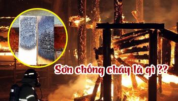 BỘ NGUYÊN LIỆU SẢN XUẤT SƠN CHỐNG CHÁY PHỒNG RỘP