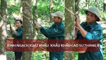 KINH NGẠCH XUẤT KHẨU CAO SU TĂNG 21% TRONG THÀNG 8. 