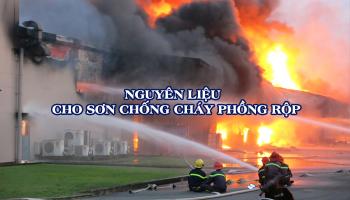 NGUYÊN VẬT LIỆU CHO SƠN CHỐNG CHÁY PHỒNG RỘP. 