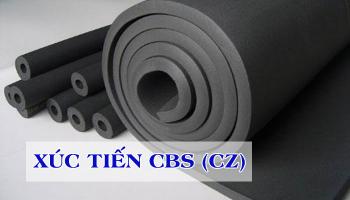 TỔNG QUAN VỀ XÚC TIẾN CBS (CZ)