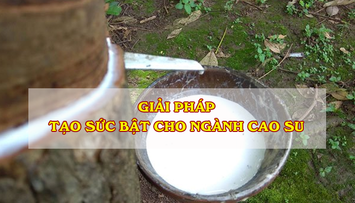 GIẢI PHÁP TẠO SỨC BẬT CHO NGÀNH CAO SU