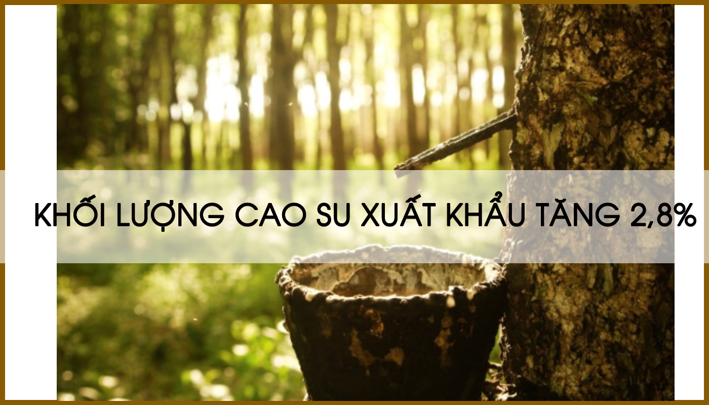 KHỐI LƯỢNG CAO SU XUẤT KHẨU TĂNG 2,8%, NHẬP KHẨU TĂNG TỚI 45%