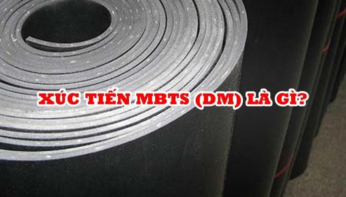 XÚC TIẾN MBTS (DM) LÀ GÌ?