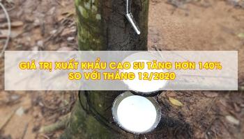 RUBBER EXPORT VALUES IN JANUARY 2021 INCREASED BY 140% COMPARED DEC2020