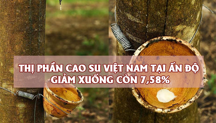 THỊ PHẦN CAO SU VIỆT NAM TẠI ẤN ĐỘ GIẢM XUỐNG CÒN 7,58%