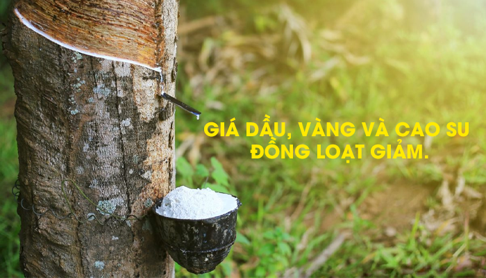 NGÀY 6/4: GIÁ DẦU, VÀNG VÀ CAO SU ĐỒNG LOẠT GIẢM 