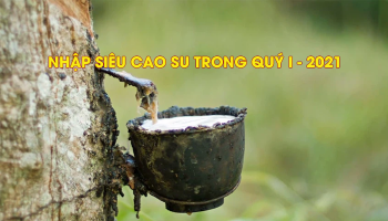 VIETNAM RUBBER TRADE DEFICIT IN FIRST QUARTER OF 2021