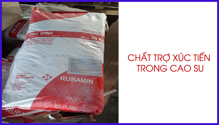 CHẤT TRỢ XÚC TIẾN TRONG CAO SU