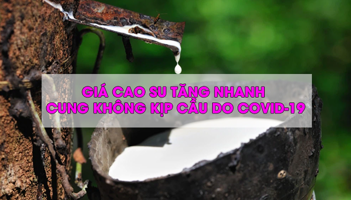 GIÁ CAO SU TĂNG NHANH, CUNG KHÔNG KỊP CẦU DO COVID-19