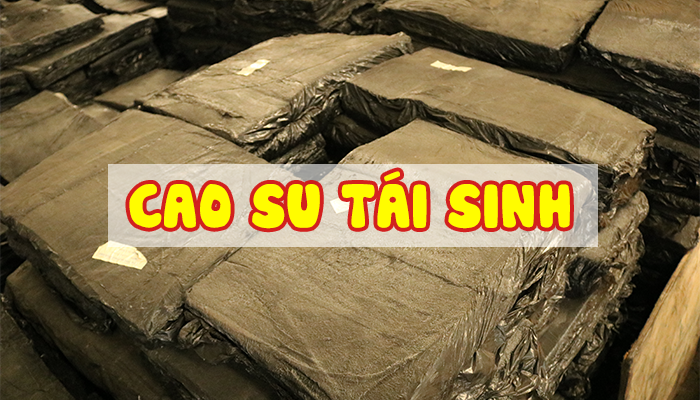 CAO SU TÁI SINH VÀ QUY TRÌNH SẢN XUẤT