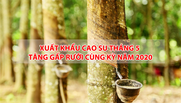 XUẤT KHẨU CAO SU THÁNG 5 TĂNG GẤP RƯỠI CÙNG KỲ NĂM 2020