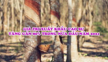 RUBBER EXPORT INCREASES BY NEARLY 80% IN THE FIRST HALF OF 2021