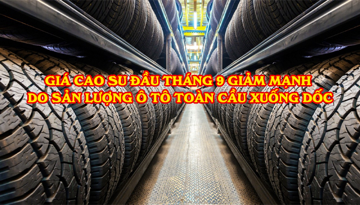 GIÁ CAO SU ĐẦU THÁNG 9 GIẢM MẠNH DO SẢN LƯỢNG Ô TÔ TOÀN CẦU XUỐNG DỐC