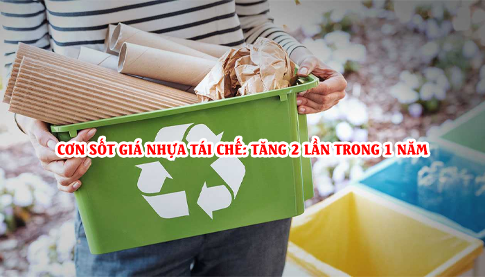 CƠN SỐT GIÁ NHỰA TÁI CHẾ: TĂNG 2 LẦN TRONG 1 NĂM