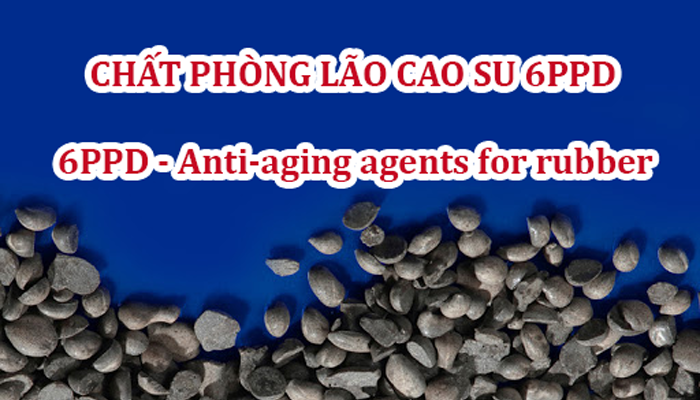 CHẤT PHÒNG LÃO CAO SU 6PPD