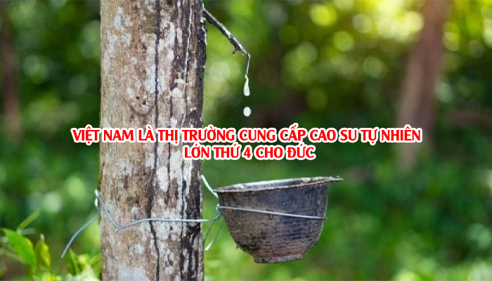 VIỆT NAM LÀ THỊ TRƯỜNG CUNG CẤP CAO SU TỰ NHIÊN LỚN THỨ 4 CHO ĐỨC