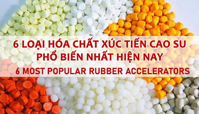 6 CHẤT XÚC TIẾN CAO SU PHỔ BIẾN NHẤT HIỆN NAY