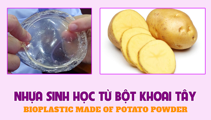 BIOPLASTIC MADE OF POTATO POWDER