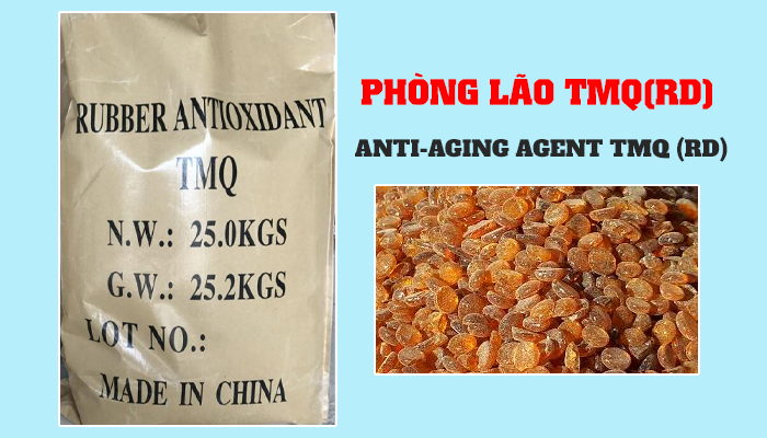 PHÒNG LÃO TMQ(RD)