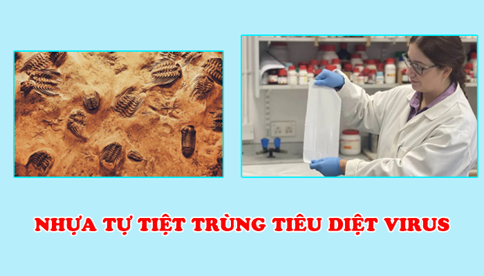 NHỰA TỰ TIỆT TRÙNG TIÊU DIỆT VIRUS