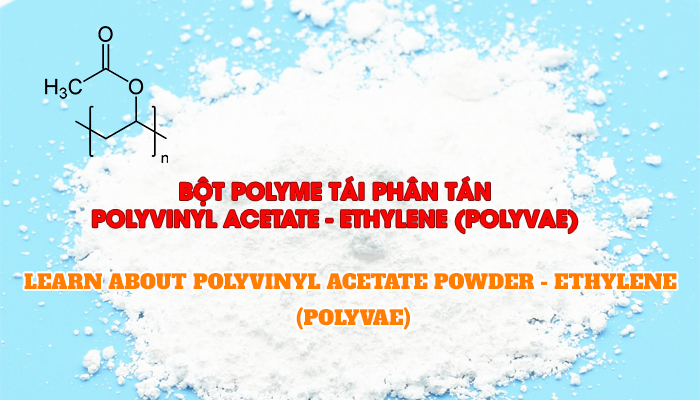 LEARN ABOUT POLYVINYL ACETATE POWDER - ETHYLENE (POLYVAE)