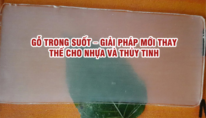 GỖ TRONG SUỐT – GIẢI PHÁP MỚI THAY THẾ CHO NHỰA VÀ THỦY TINH