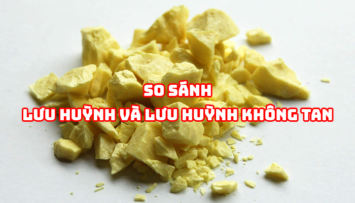 SO SÁNH: LƯU HUỲNH VÀ LƯU HUỲNH KHÔNG TAN