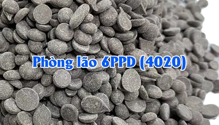 PHÒNG LÃO 6PPD (4020)