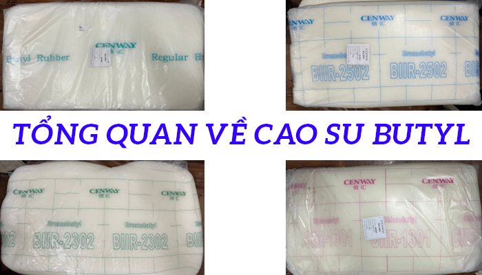 TỔNG QUAN VỀ CAO SU BUTYL