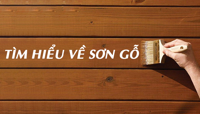 TÌM HIỀU VỀ SƠN GỖ