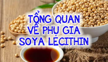TỔNG QUAN VỀ PHỤ GIA SOYA LECITHIN