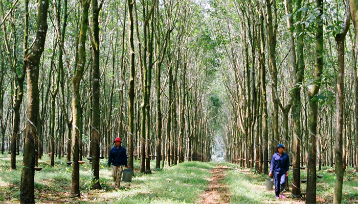 Báo khoa học tháng 12 