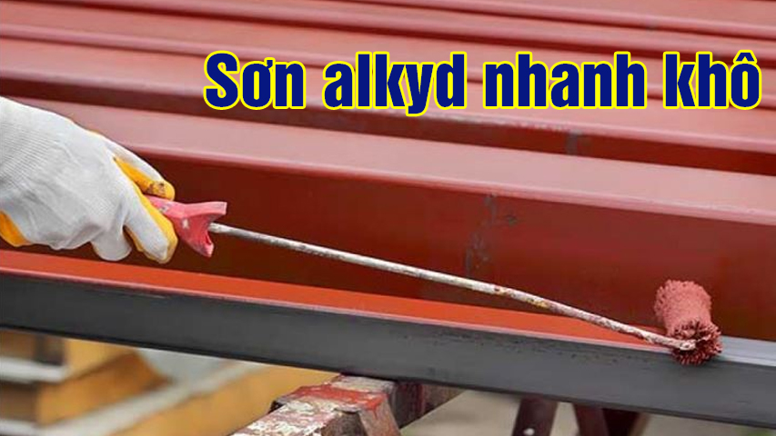 son alkyd