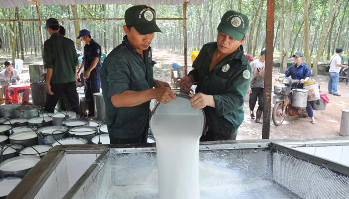 sản xuất cao su tự nhiên