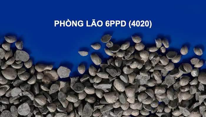 Phòng lão 6PPD (4020)