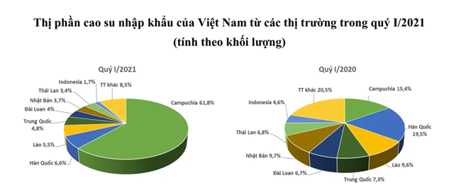 sản lượng cao su